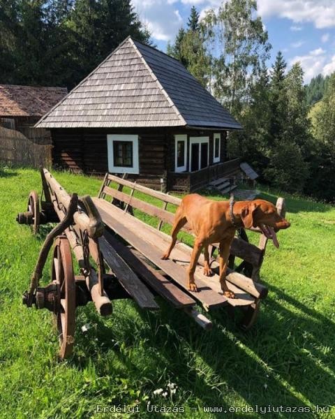 Gyimesi Skanzen Guesthouses (25)