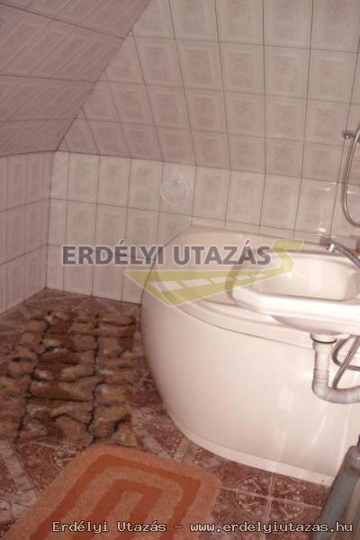 Vadrvcska Erdei Szlls (22)