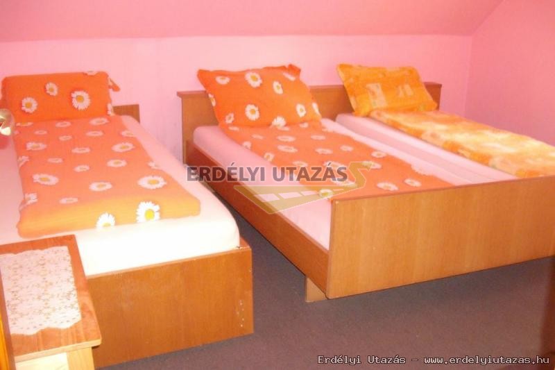 Vadrvcska Erdei Szlls (16)