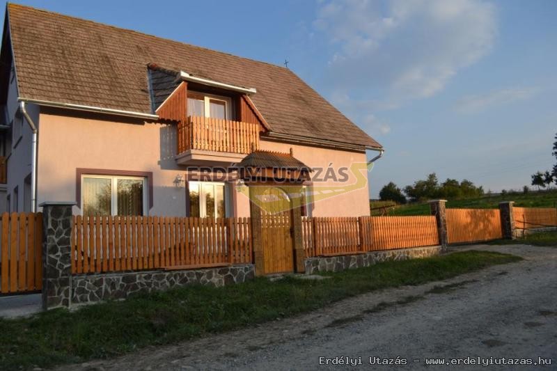 ErSa Panzi (10)
