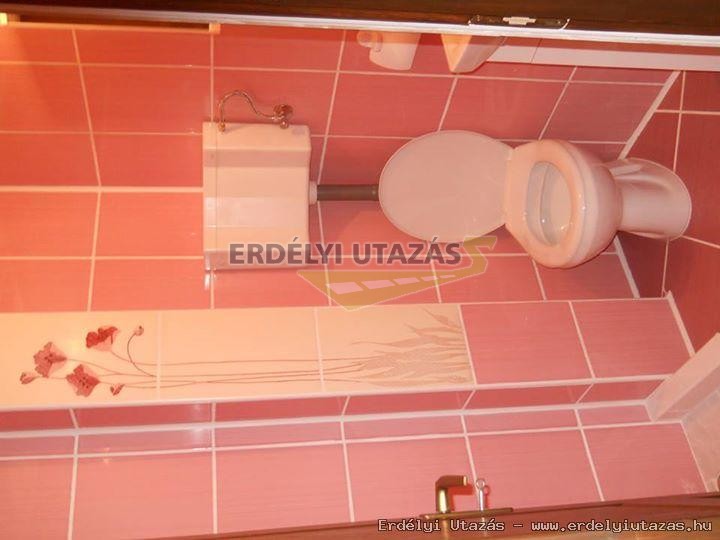 ErSa Panzi (6)