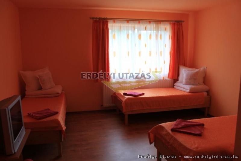 ErSa Panzi (3)