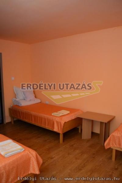 ErSa Panzi (14)