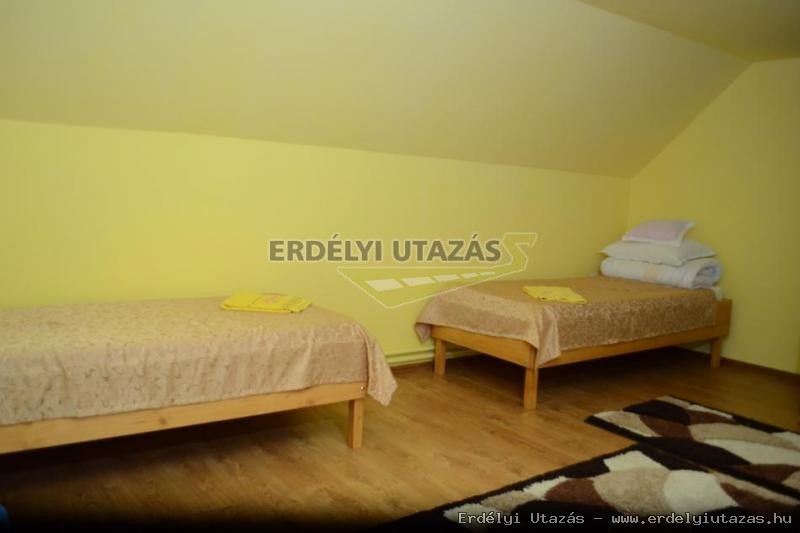 ErSa Panzi (22)