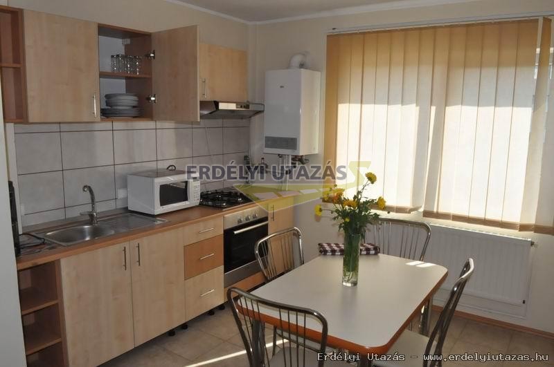 Iulian Apartman (8)