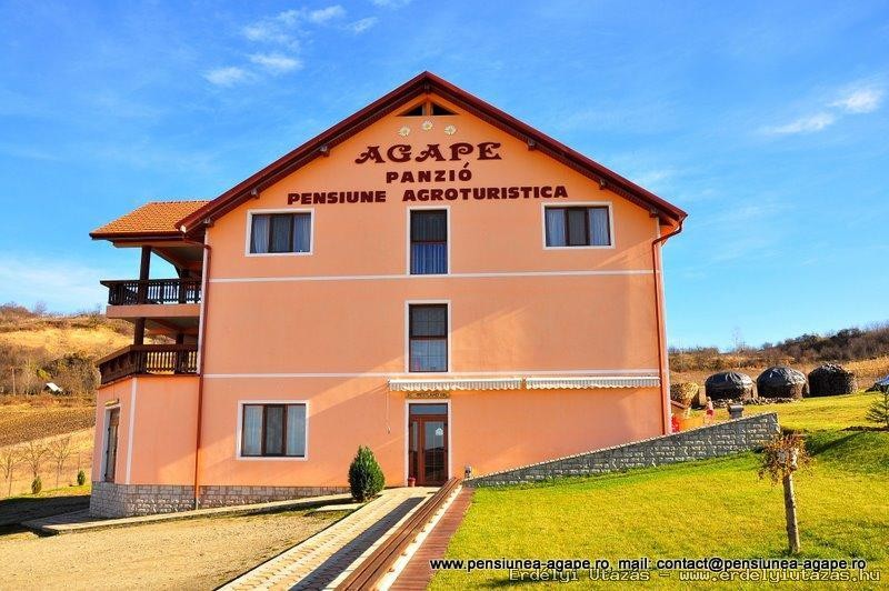 AGAPE Panzi� (1)