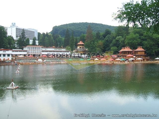 Pansion Fejer (13)