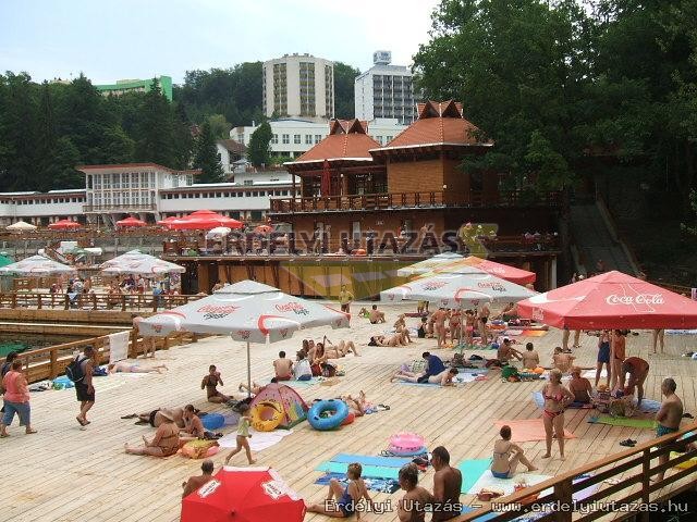 Pansion Fejer (12)