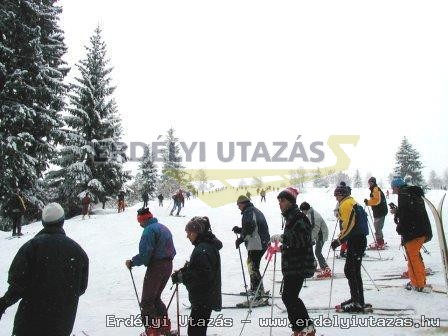 <h3>Hargitai lovast�ra</h3>