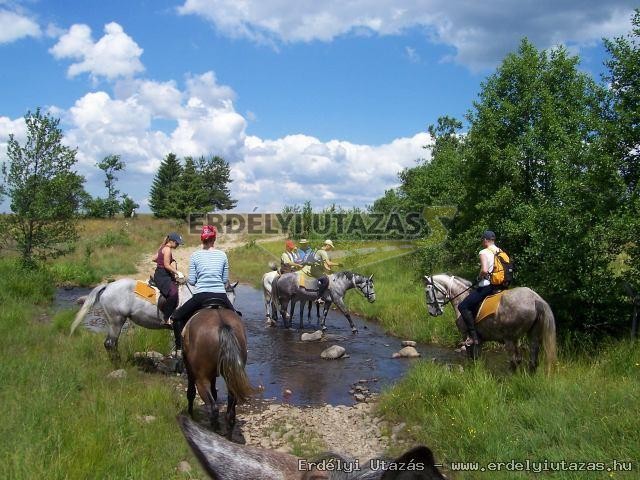 Lobog� Panzi� �s Lobog� S�p�lya (19)