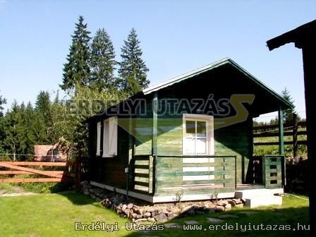 Lobog� Panzi� �s Lobog� S�p�lya (3)