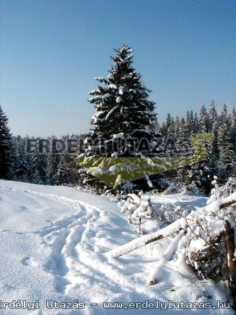 Lobog� Panzi� �s Lobog� S�p�lya (5)