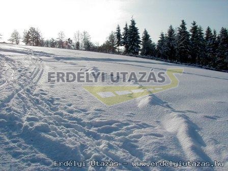 Lobog� Panzi� �s Lobog� S�p�lya (4)