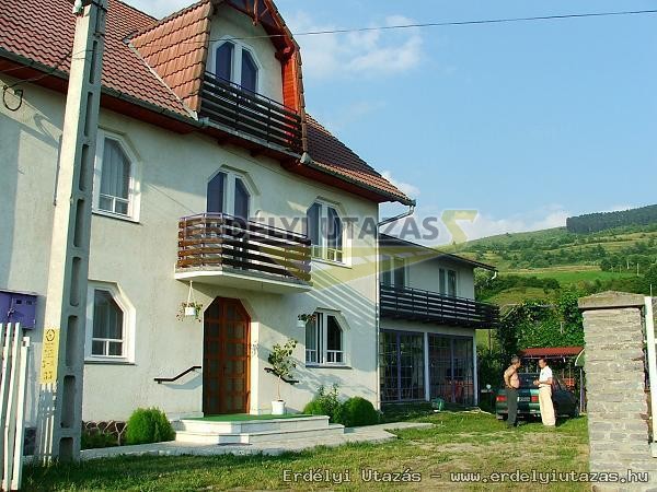 K�k�ll�-Panzi� (2)