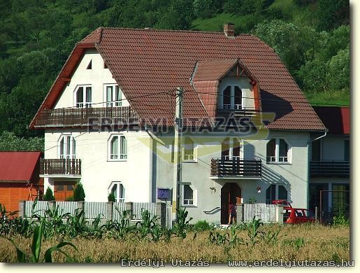 K�k�ll�-Panzi� (1)