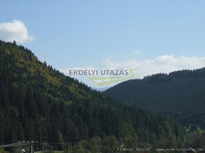 A kulcsosh�z ablak�b�l...