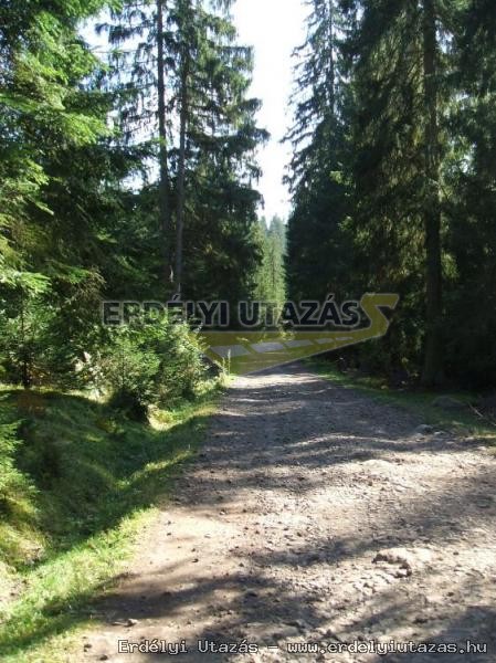 A v�zes�s fele vezet� �ton...