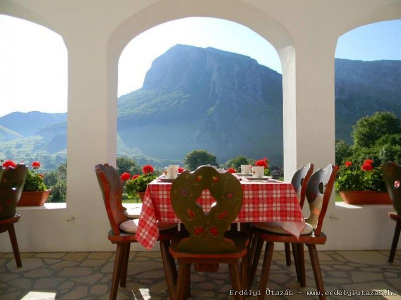 View from the terrace