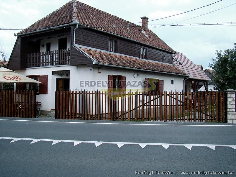 Ibolya Panzi (1)