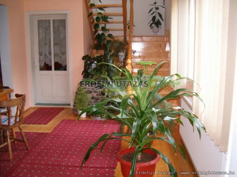 Rita Guesthouse (2)