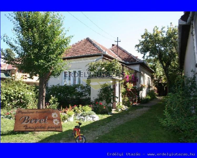 Enyedi Erzs�bet Guesthousea (1)