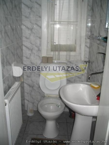 Pensiunea Viorica (5)