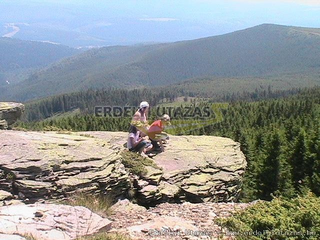 Z�ld Guesthouse - Kulcsosh�z (19)