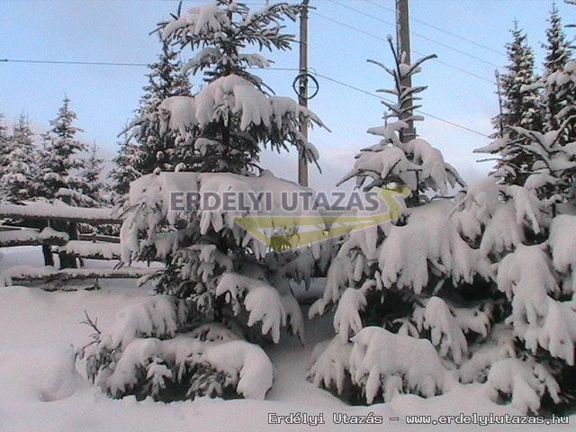 Z�ld Guesthouse - Kulcsosh�z (5)