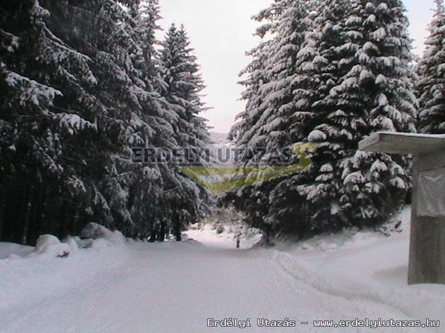 Z�ld Guesthouse - Kulcsosh�z (16)