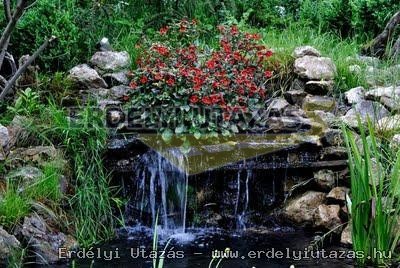 Dr. Demeter B�la - G�stehaus (18)