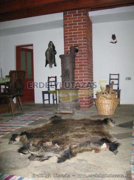 Extreme Hunting Pension (4)