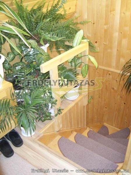 Edy Guesthouse (6)
