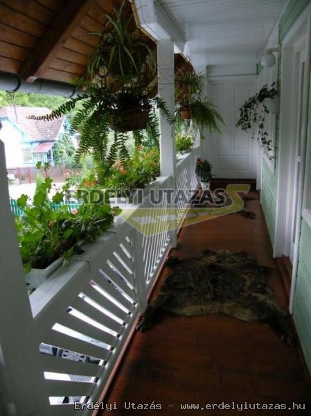 Edy Guesthouse (16)