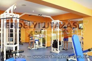 Hotel Flamingo Wellness Center s Uszoda (8)