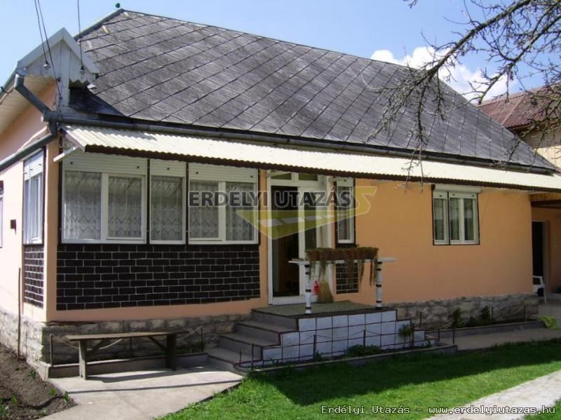 Ildik Vendghz (2)