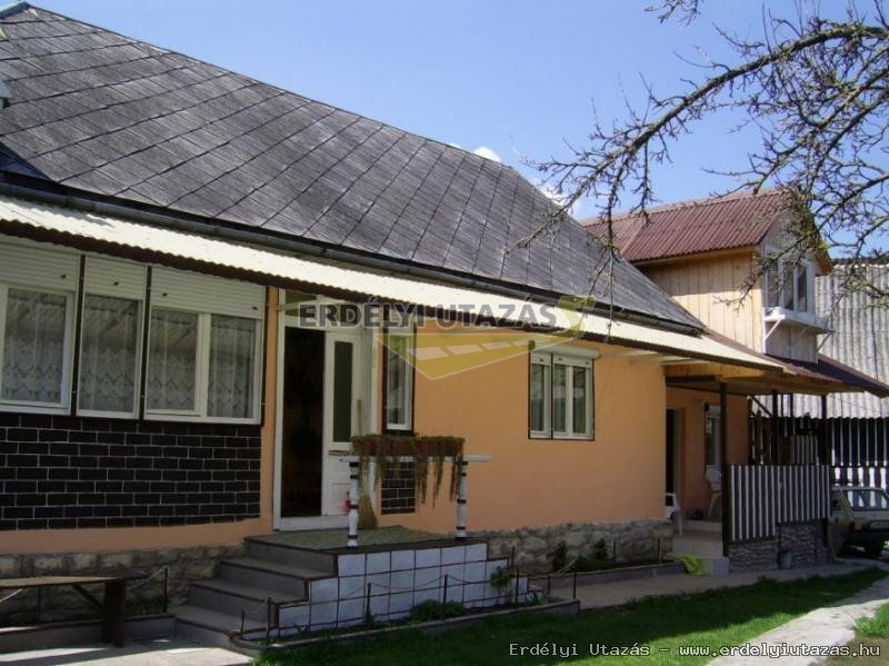 Ildik Vendghz (1)