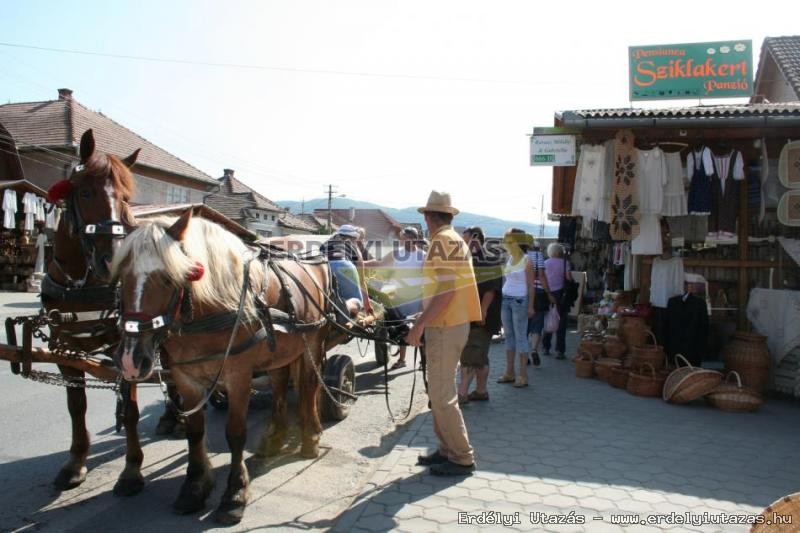 Szekeres turk szervezse