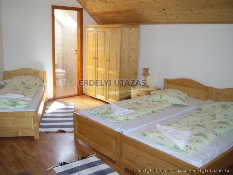 Balzs Panzi (10)