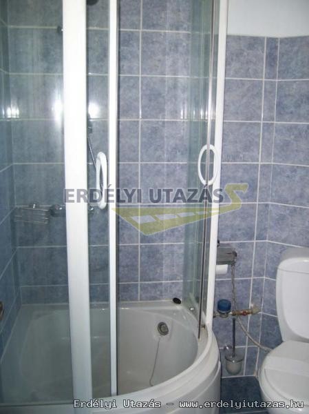 Renesz�nsz Panzi� (11)