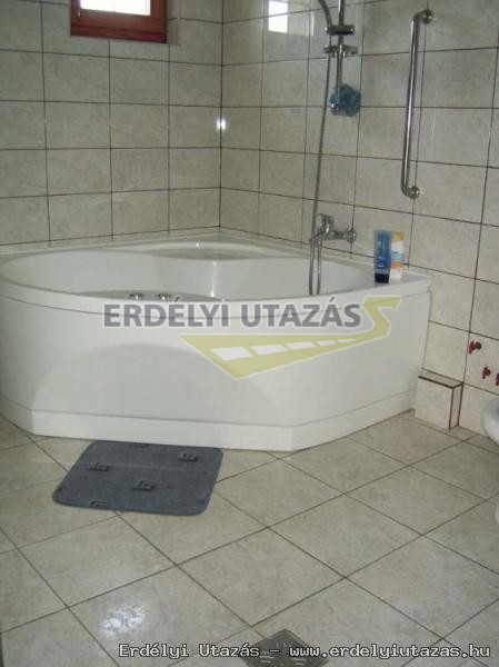 Renesz�nsz Panzi� (8)