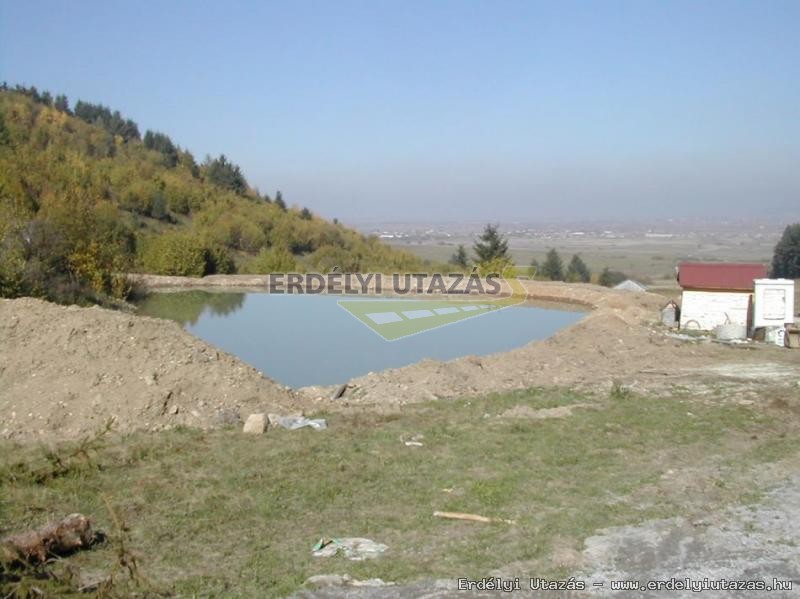 Veresvirg Panzi s Splya (4)