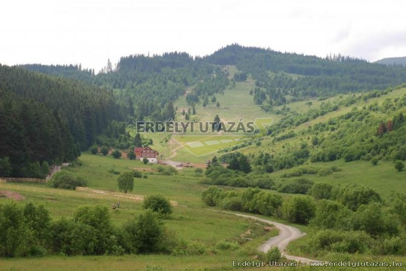 Veresvirg Panzi s Splya (3)