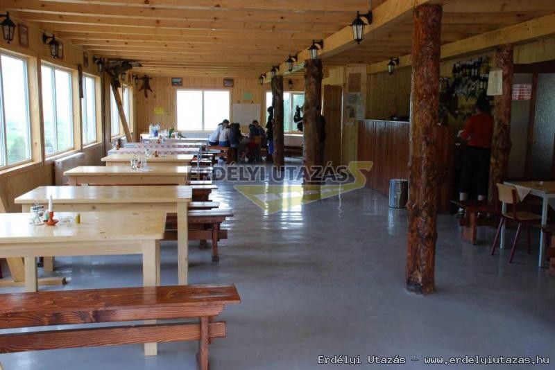 Veresvirg Panzi s Splya (7)