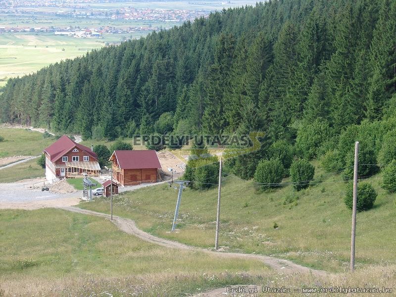 Veresvirg Panzi s Splya (2)