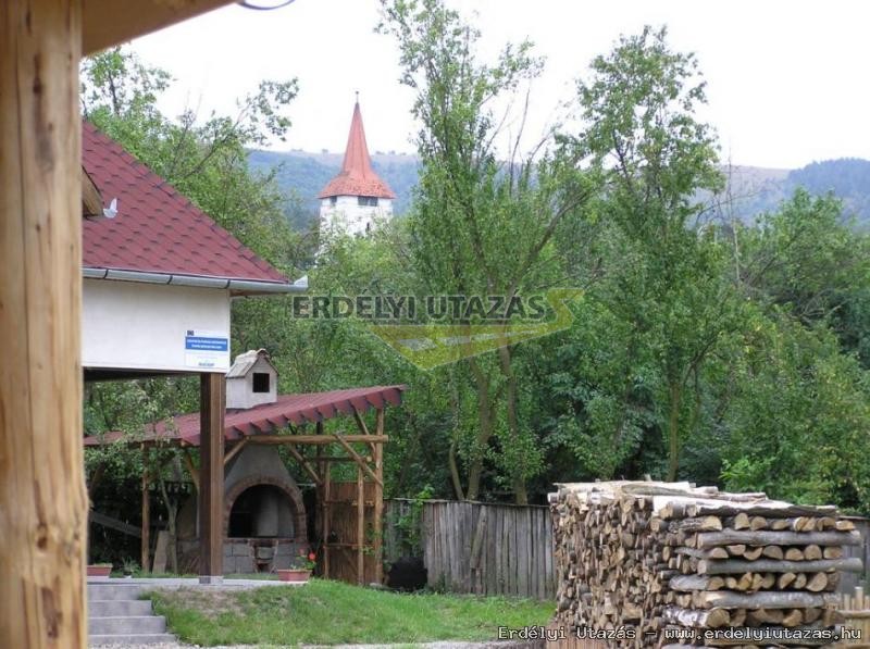 Tgls Panzi (2)