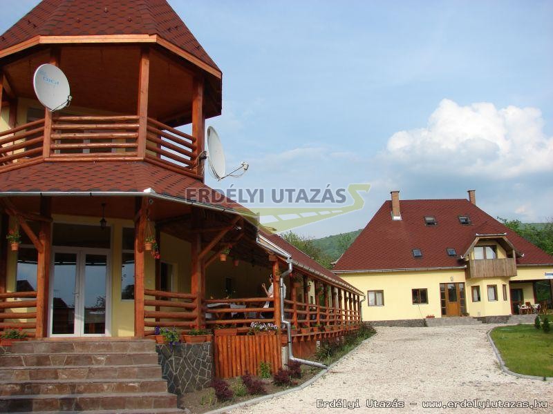 A panziok
