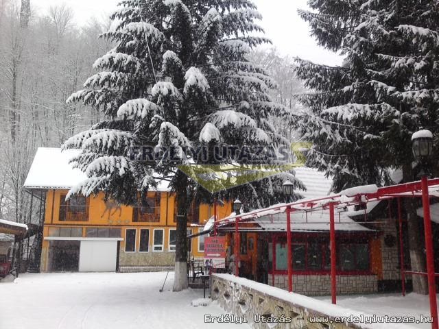 Complex Caprioara (zike Pension) (4)