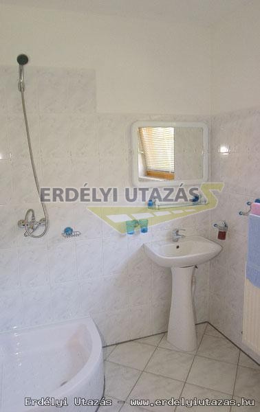 Fekete Lovas Panzi (6)