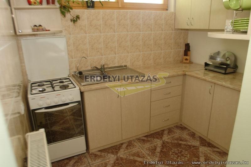 Fekete Lovas Panzi (2)