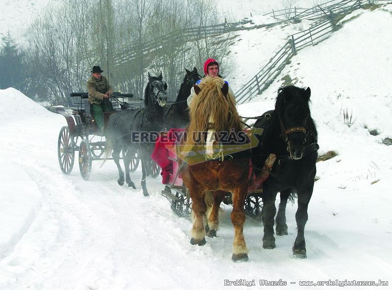 Fekete Lovas Panzi (10)